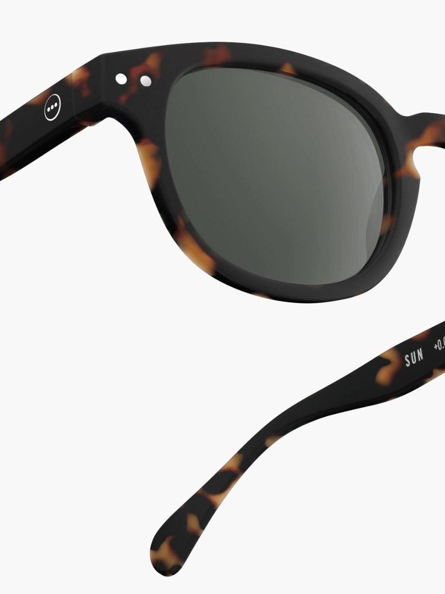 Sunglasses #C Tortoise