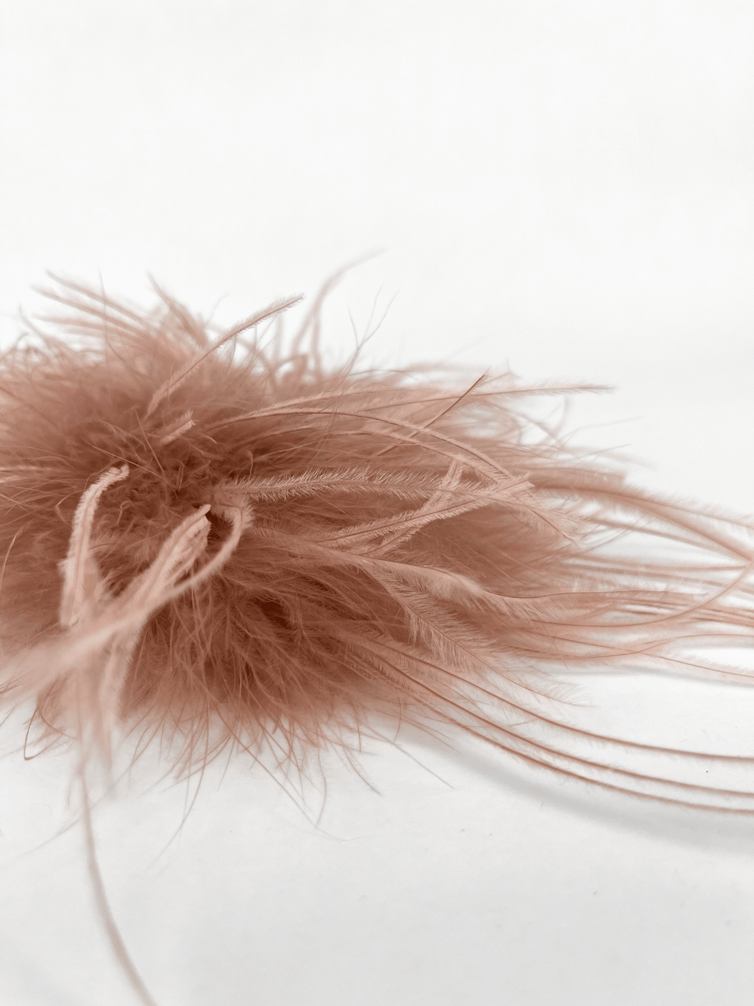 Feather Brooch Rosé