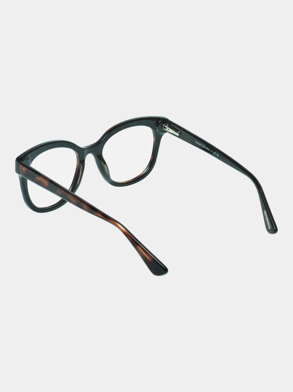 Computer reading glasses Eyedo Pearly Brown