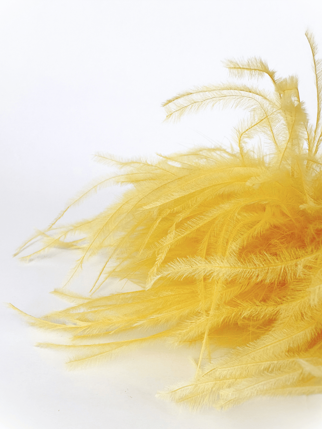 Feather Brooch Yellow