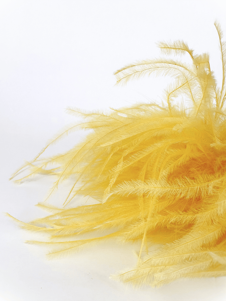 Feather Brooch Yellow