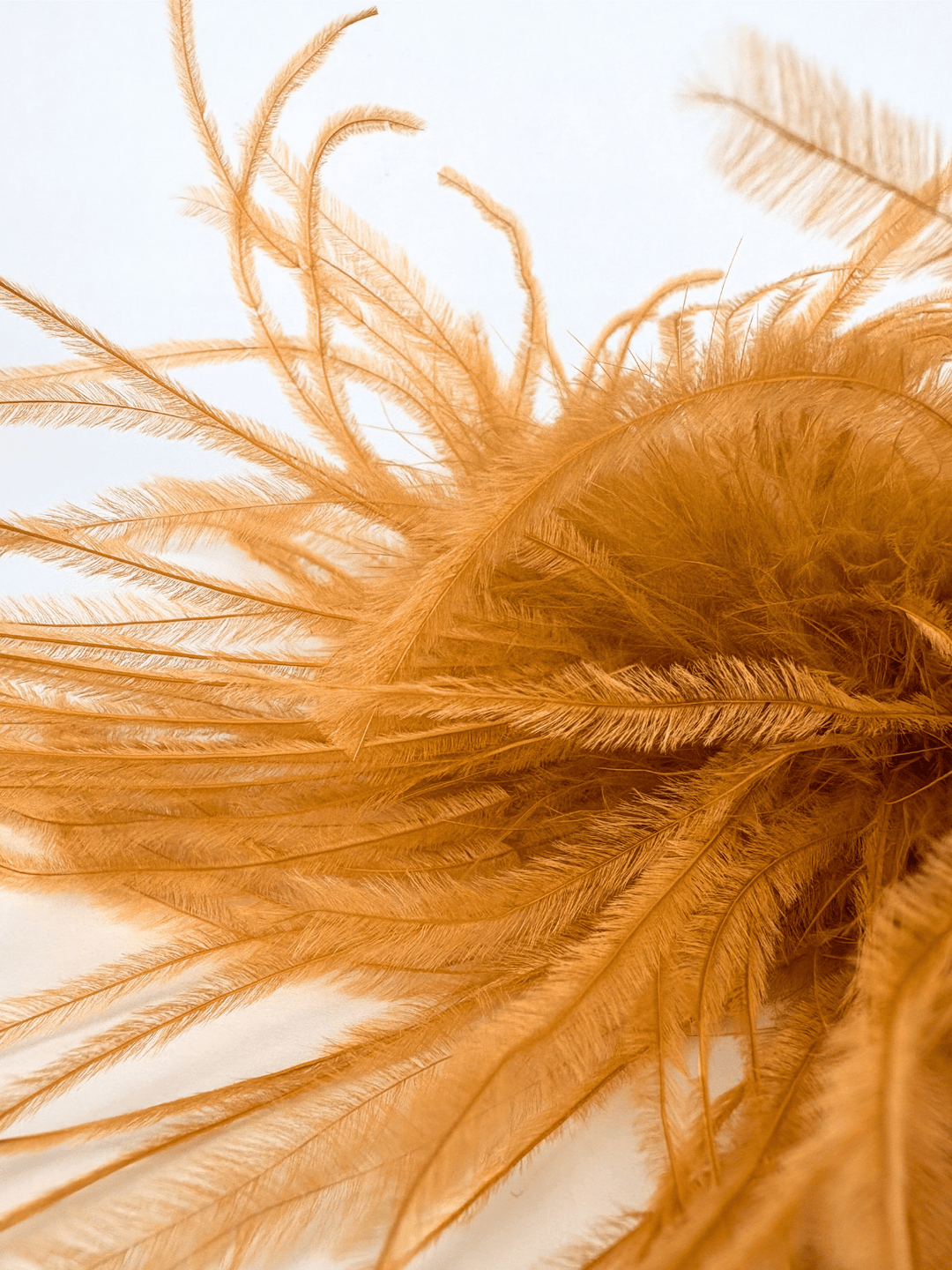 Orange Feather Brooch