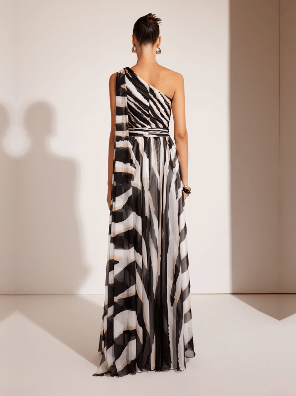 Long Zebra Dress