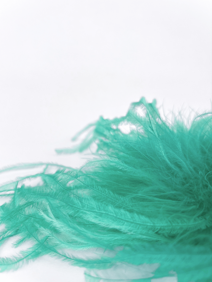 feather brooch turquoise