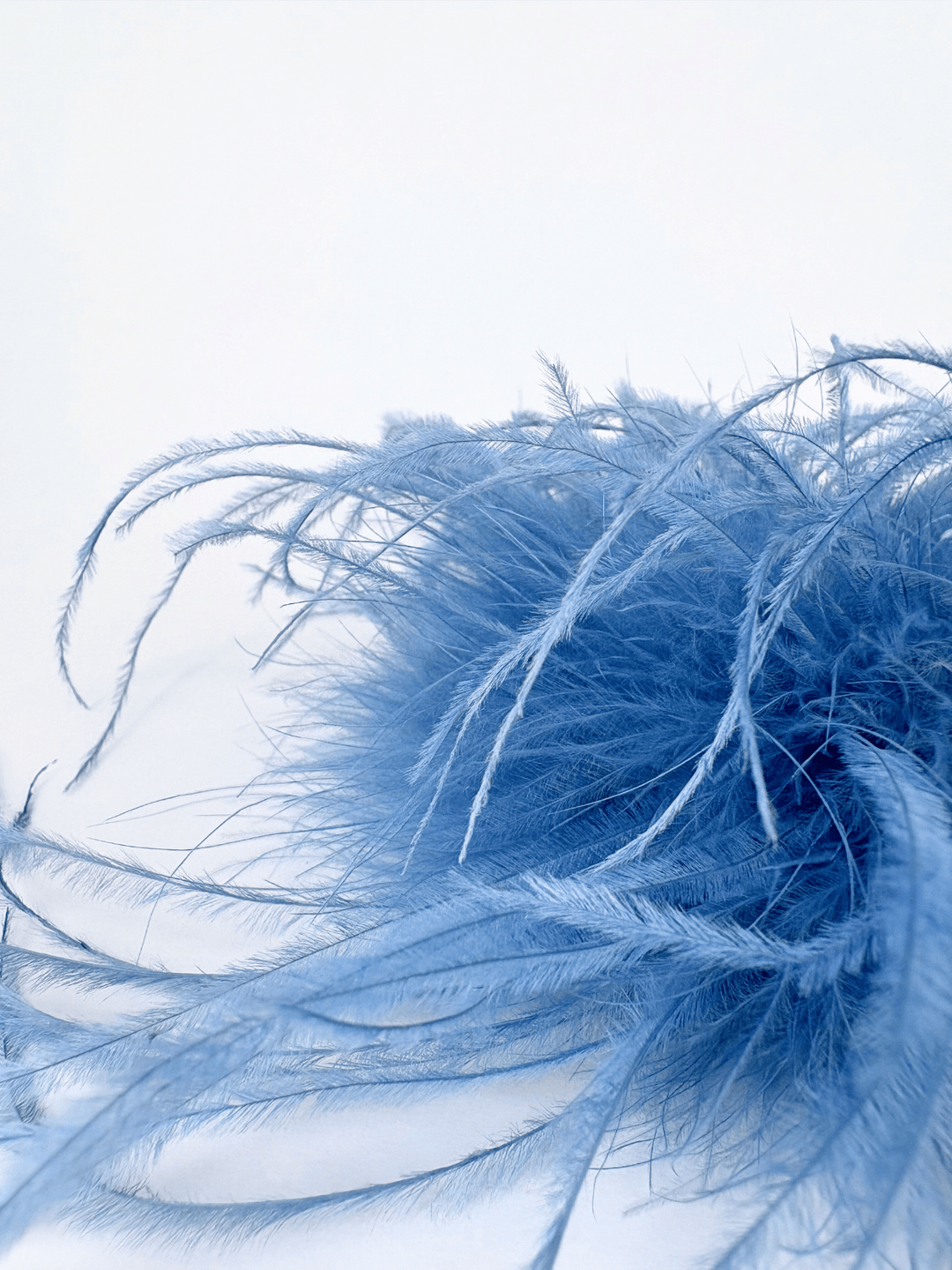 Feather Brooches Blue